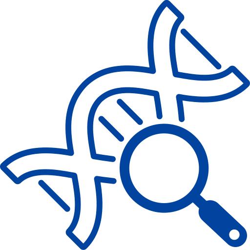 IB Diploma Biology – IB Source Education